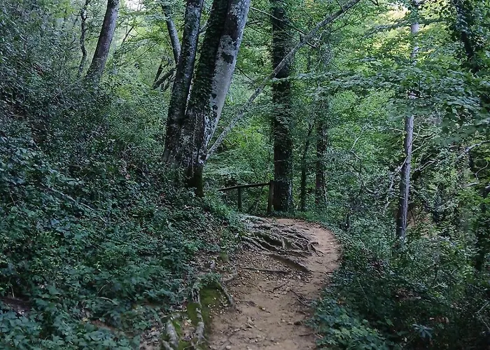 Des Garrigues Casa de Férias Saint-Michel-d'Euzet